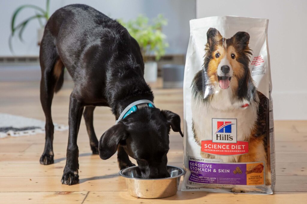 Best Dry Dog Food for Sensitive Stomachs