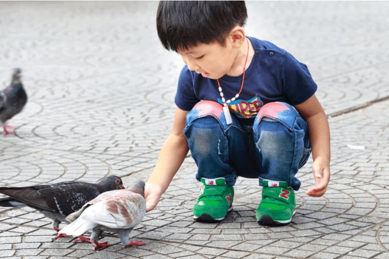 Best Pet Birds for Families