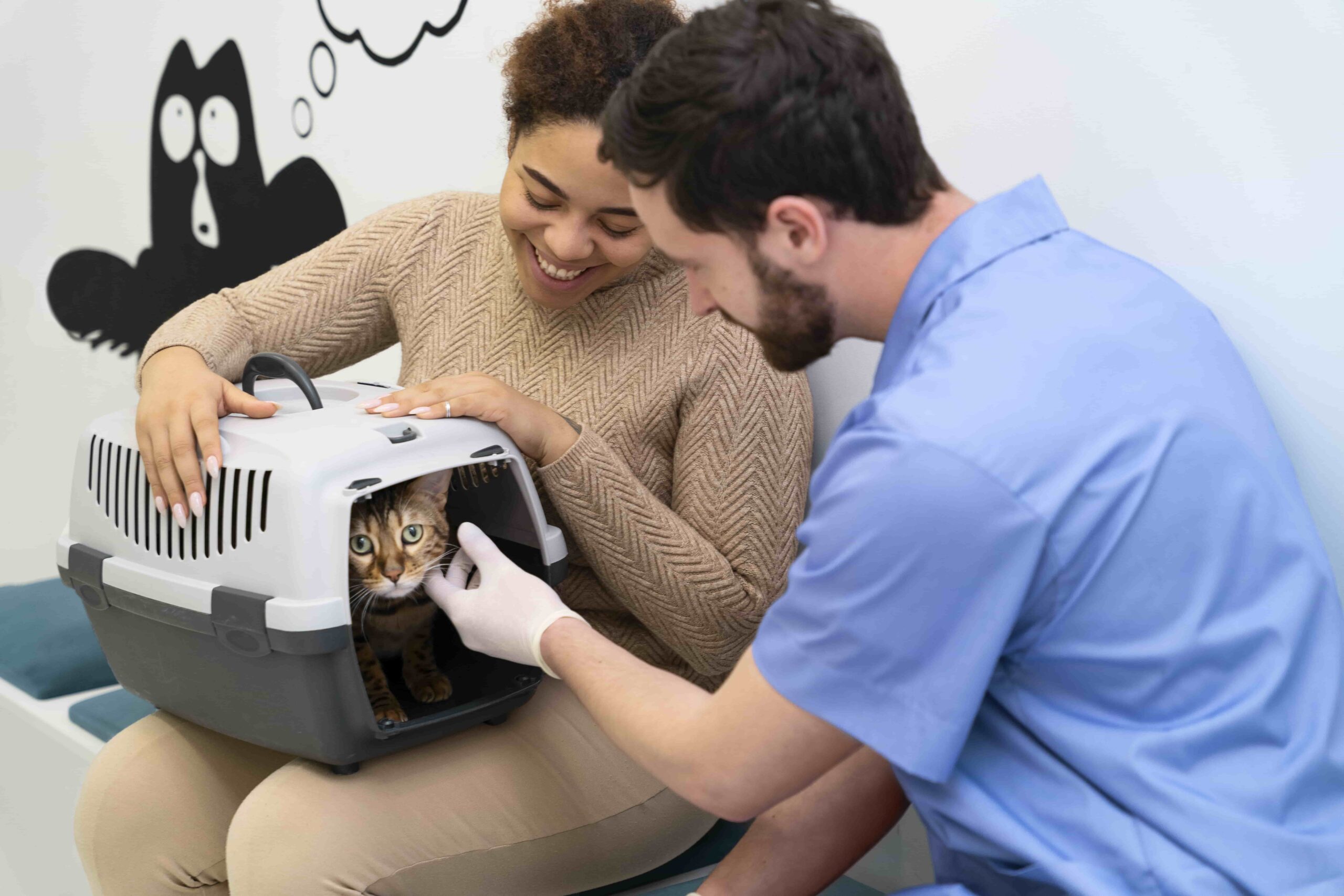 Cat Boarding